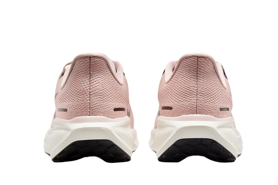 Air Zoom Pegasus 41 For Women