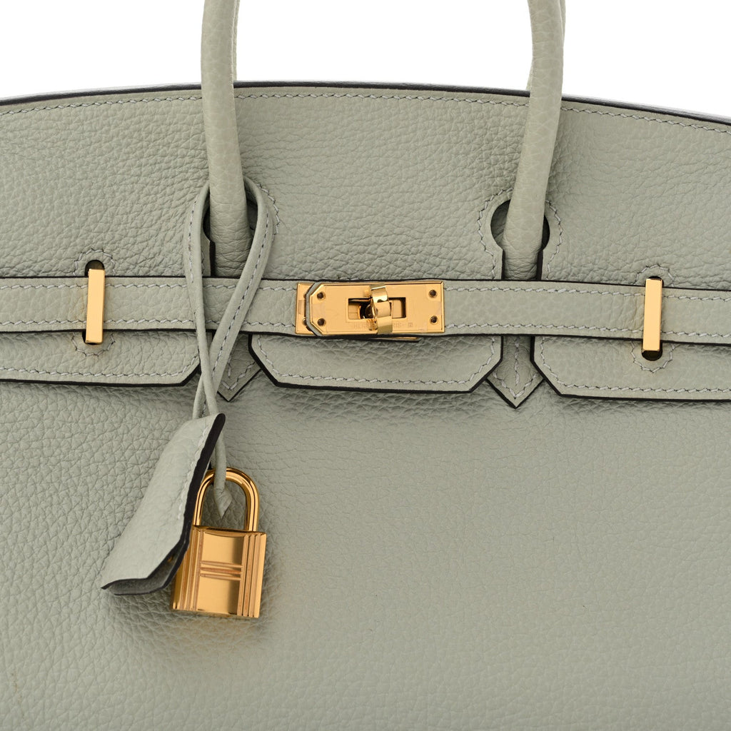 Togo Birkin 25 Gris Neve