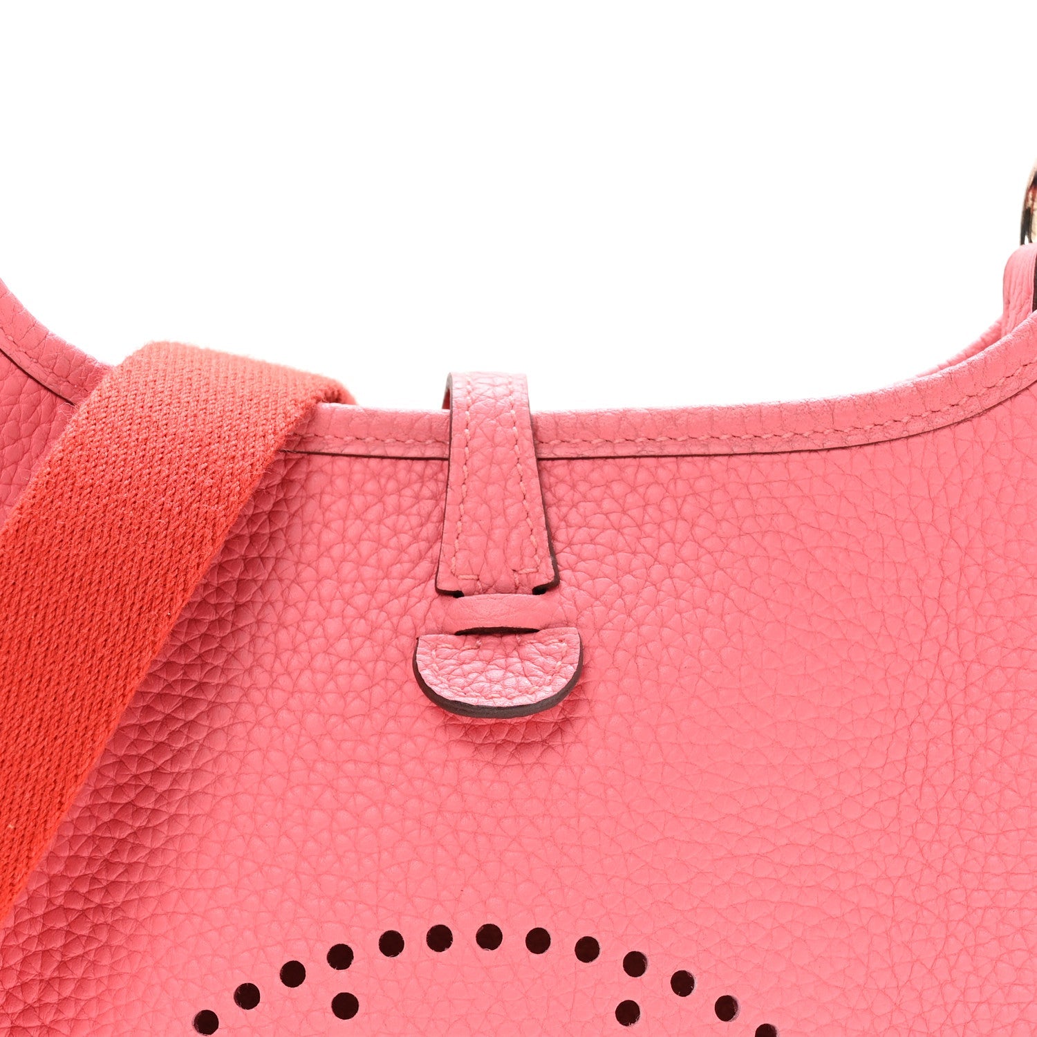 Taurillon Clemence Amazone Evelyne TPM Rose Azalee Rouge Pivoine