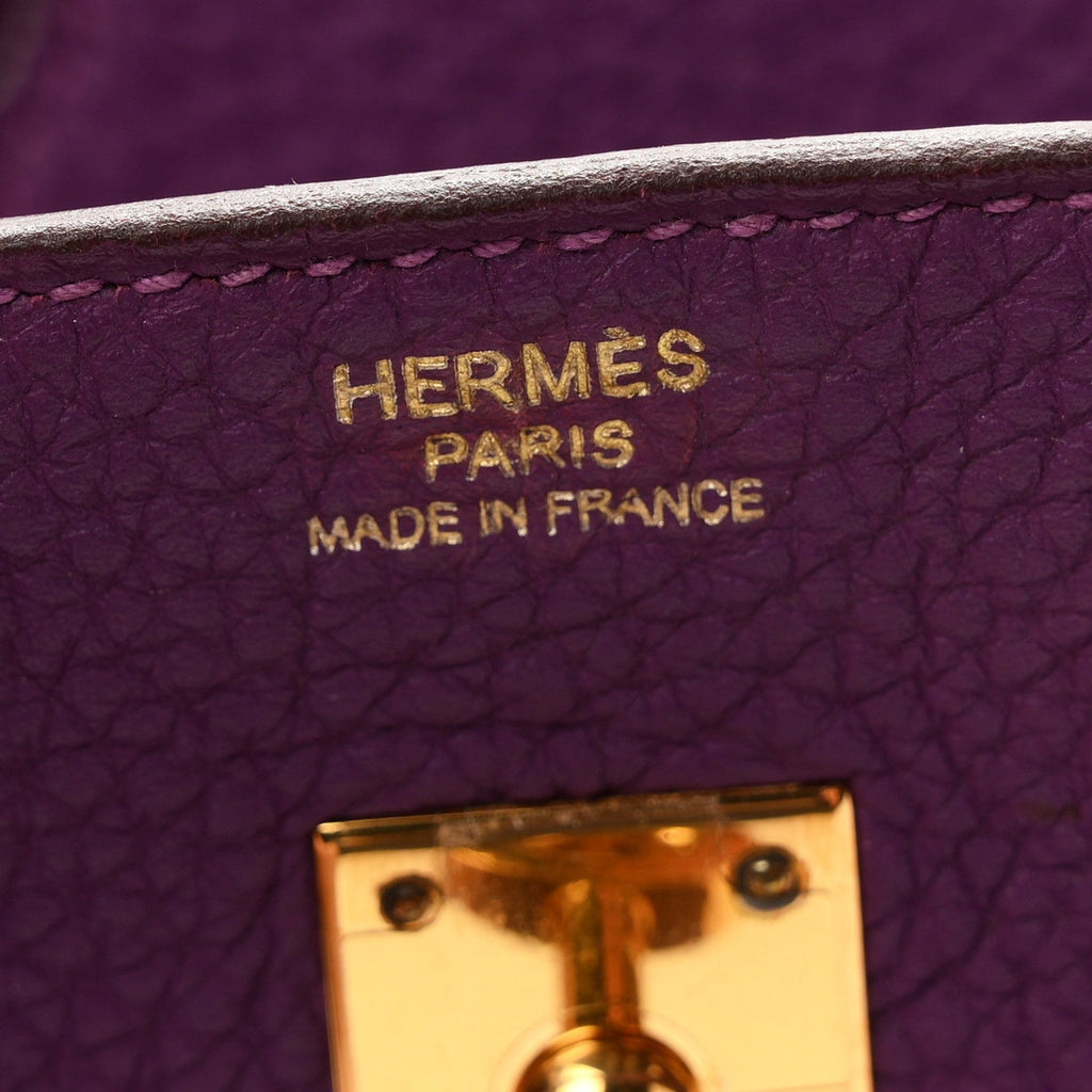 Togo Birkin 25 Anemone