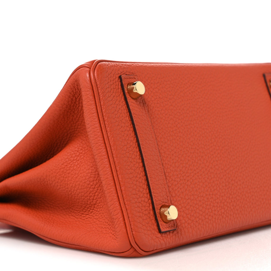 Togo Birkin 25 Terre Battue