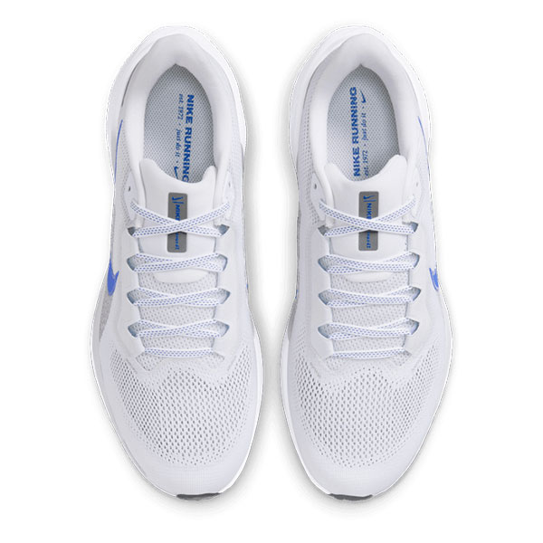 Air Zoom Pegasus 41 For Men
