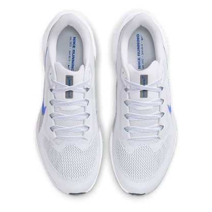 Air Zoom Pegasus 41 For Men