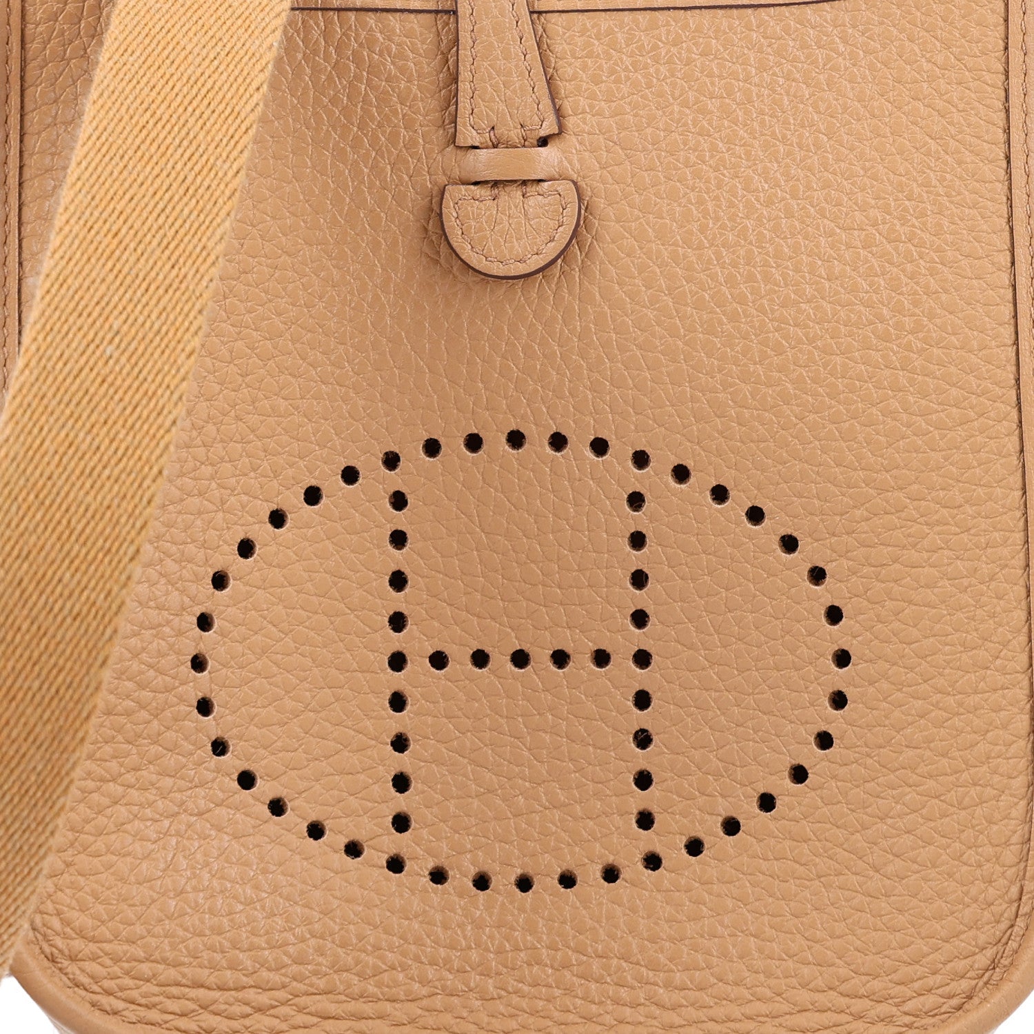 Taurillon Clemence Evelyne TPM Biscuit