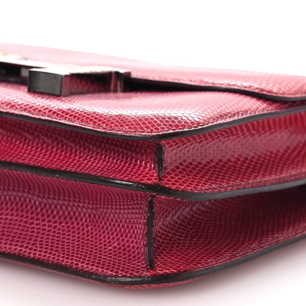 Lizard Constance 18 Fuchsia