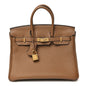 Togo Birkin 25 Alezan