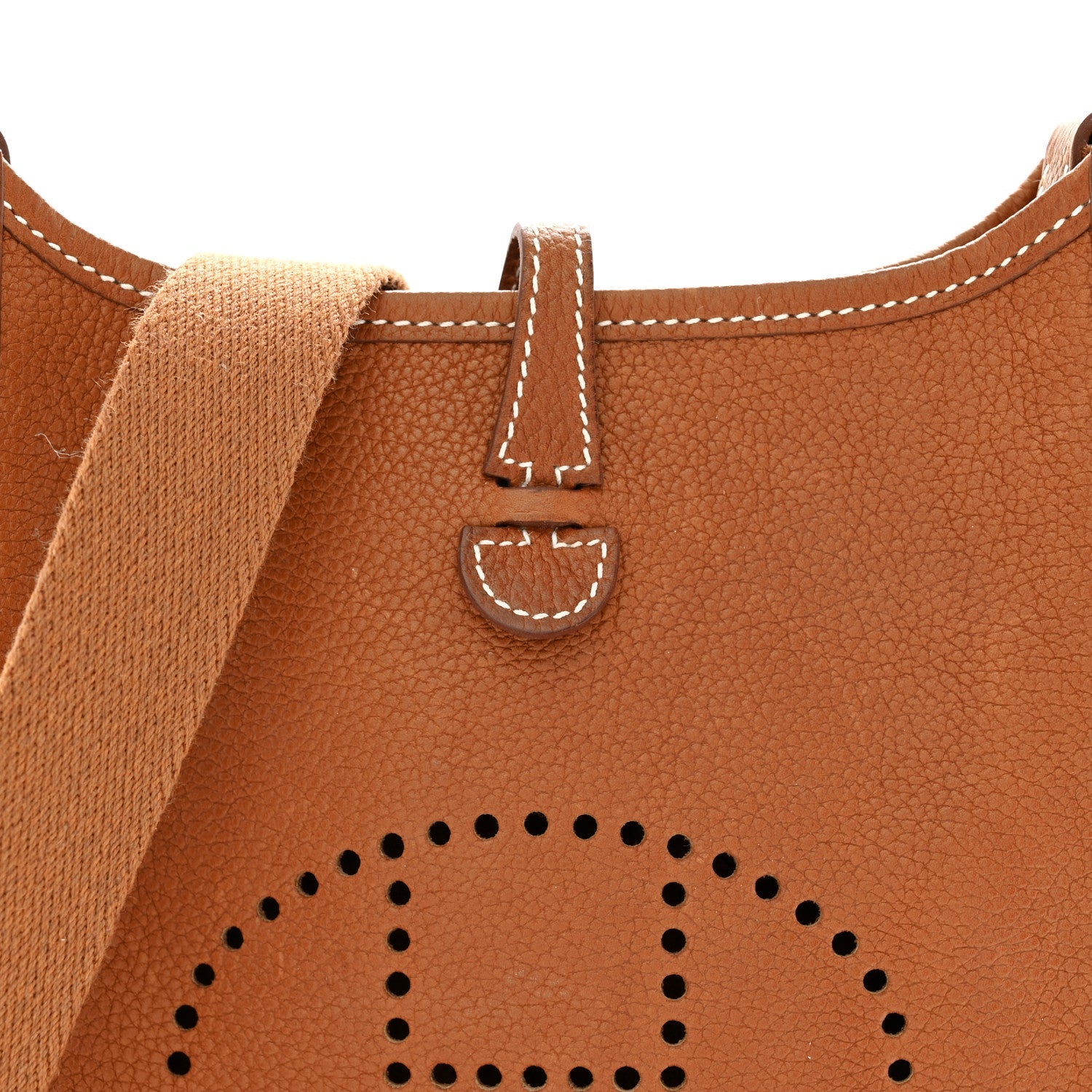 Taurillon Maurice Evelyne TPM Gold