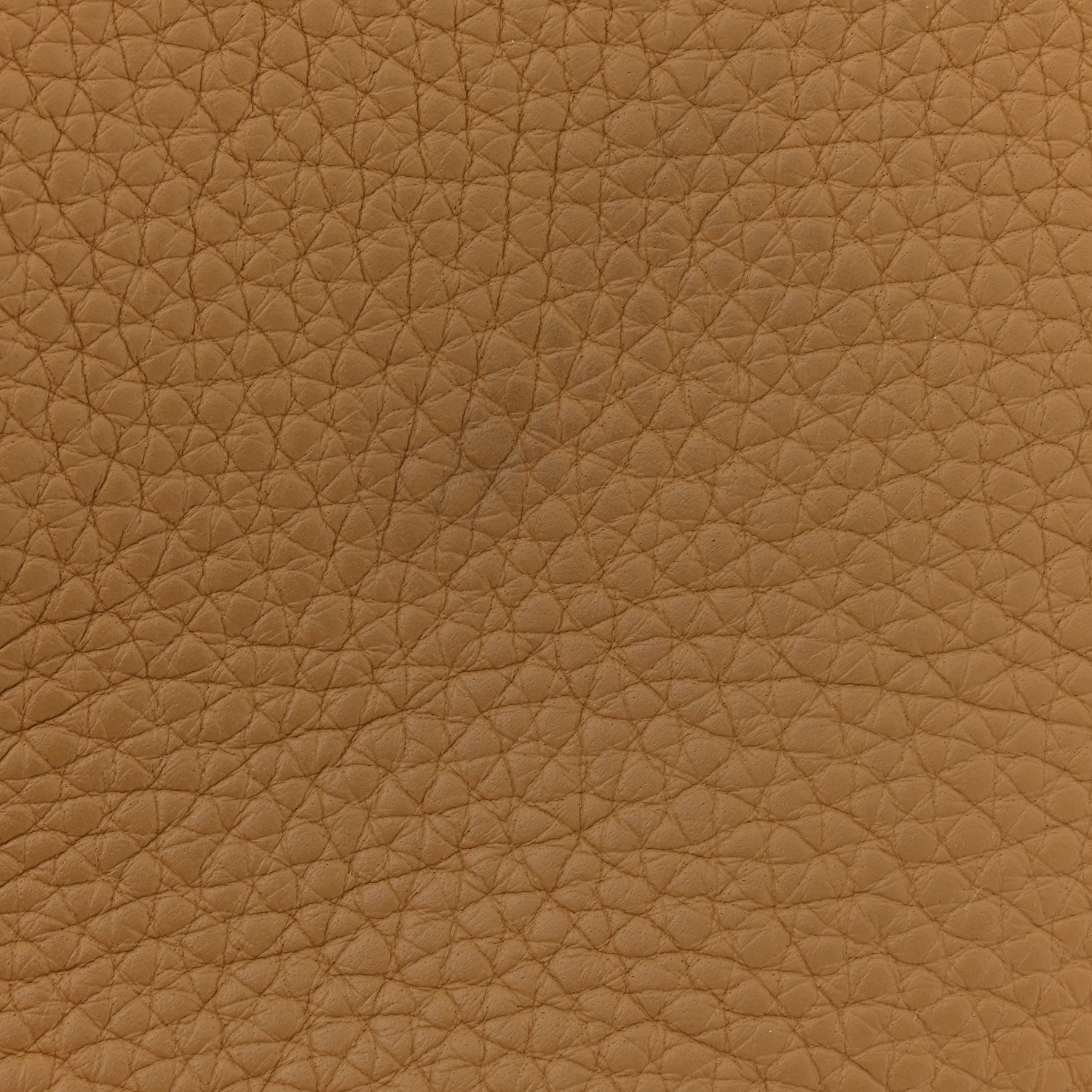 Taurillon Clemence Evelyne TPM Biscuit