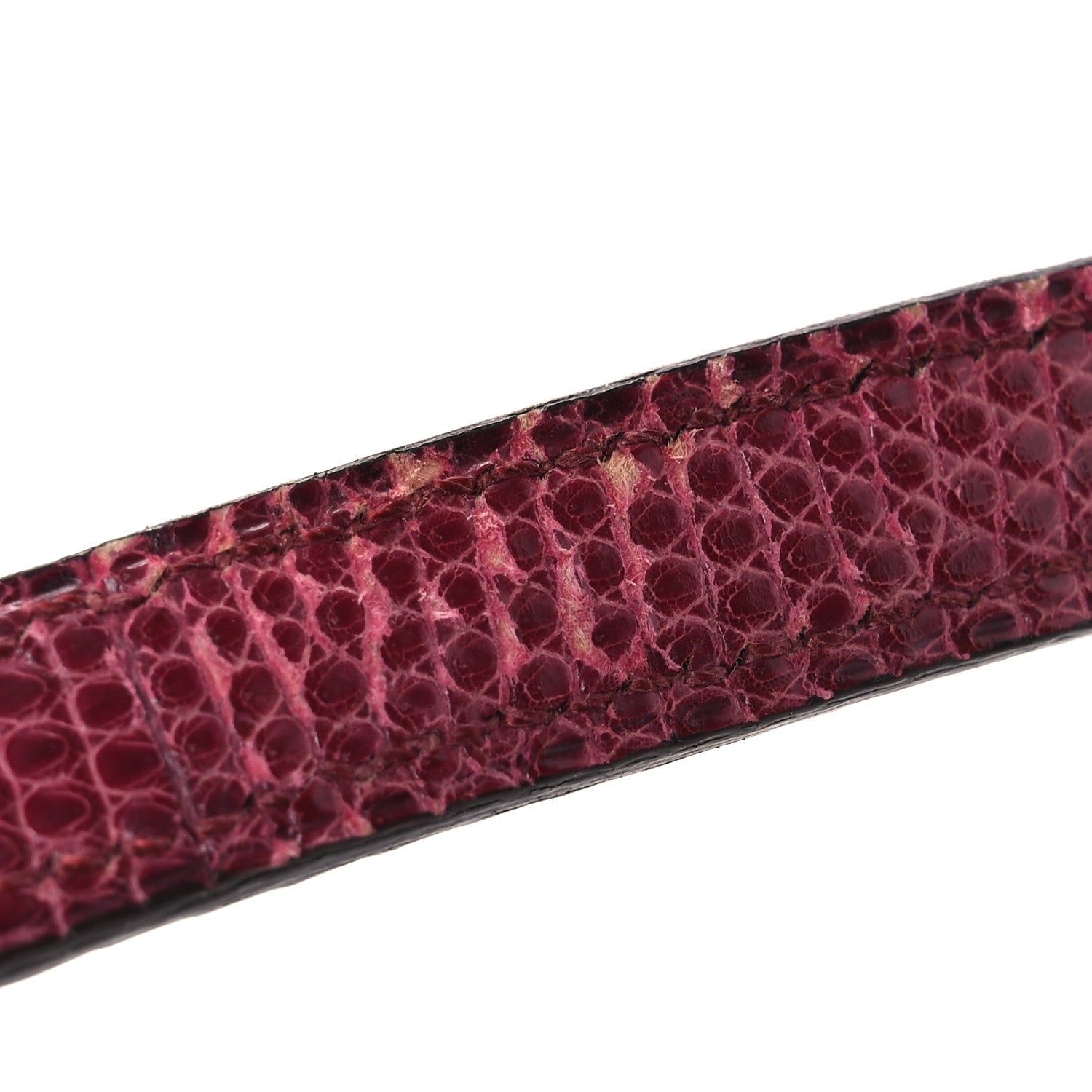 Lizard Constance 18 Fuchsia