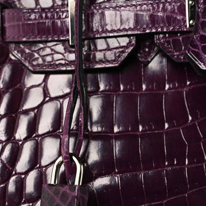 Shiny Niloticus Crocodile Birkin 30 Amethyst