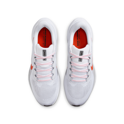 Air Zoom Pegasus 41 For Men