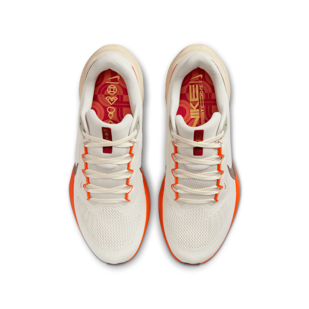 Air Zoom Pegasus 41 For Men