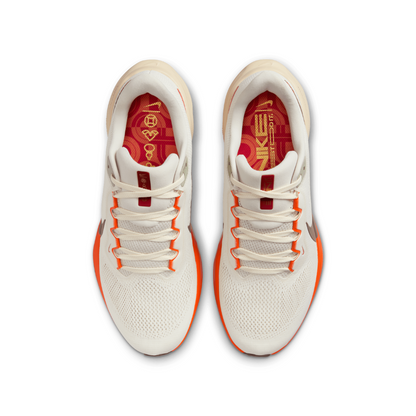 Air Zoom Pegasus 41 For Men