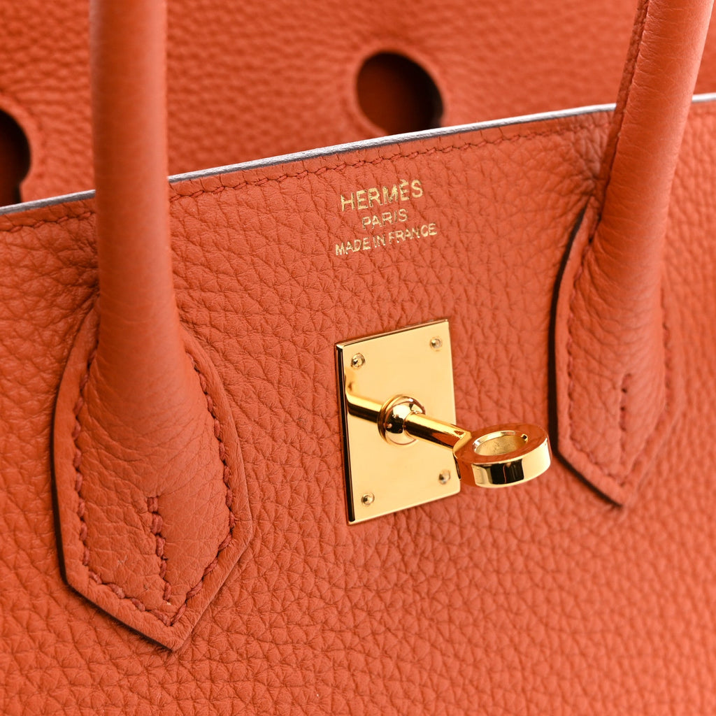 Togo Birkin 25 Terre Battue