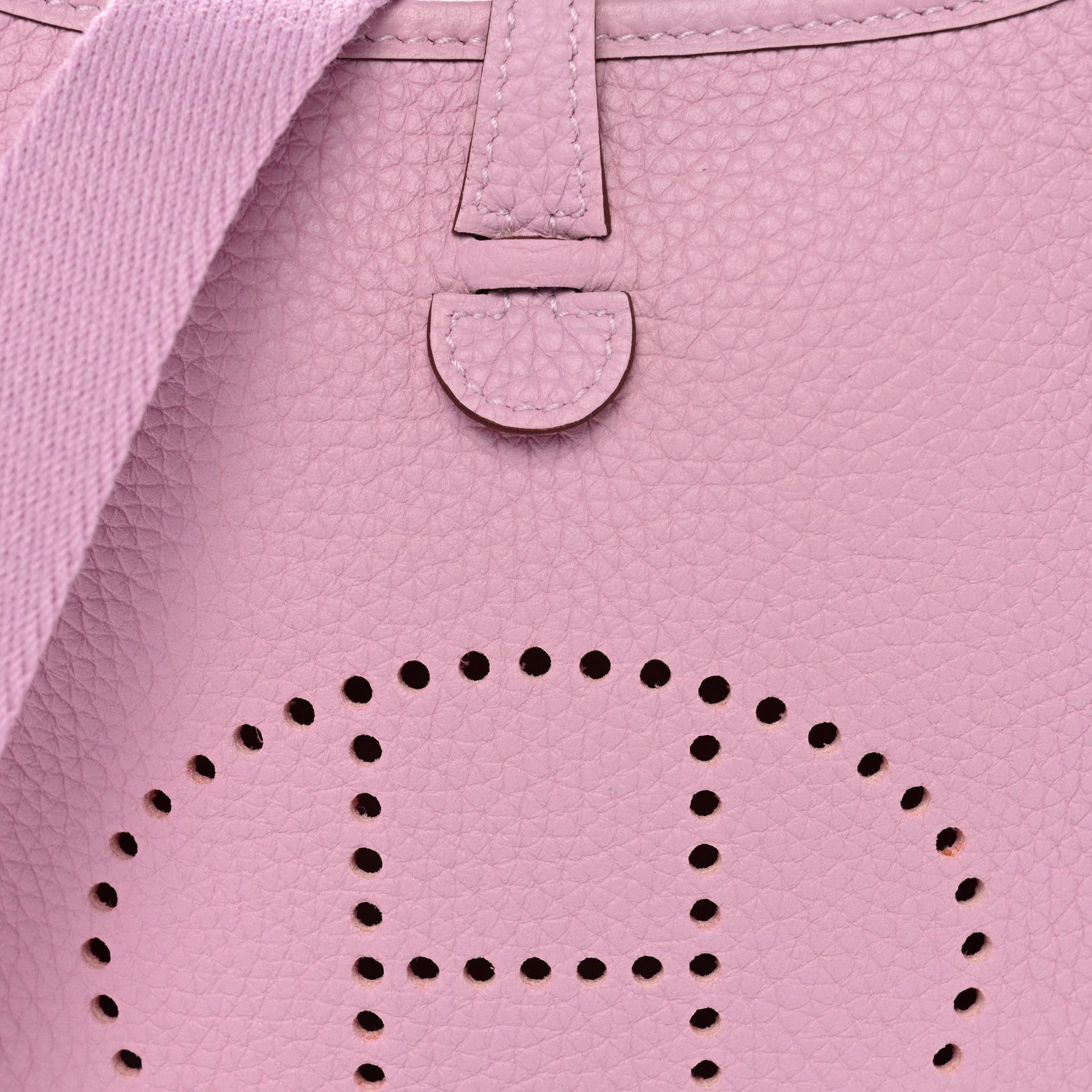 Taurillon Clemence Evelyne TPM Mauve Sylvestre