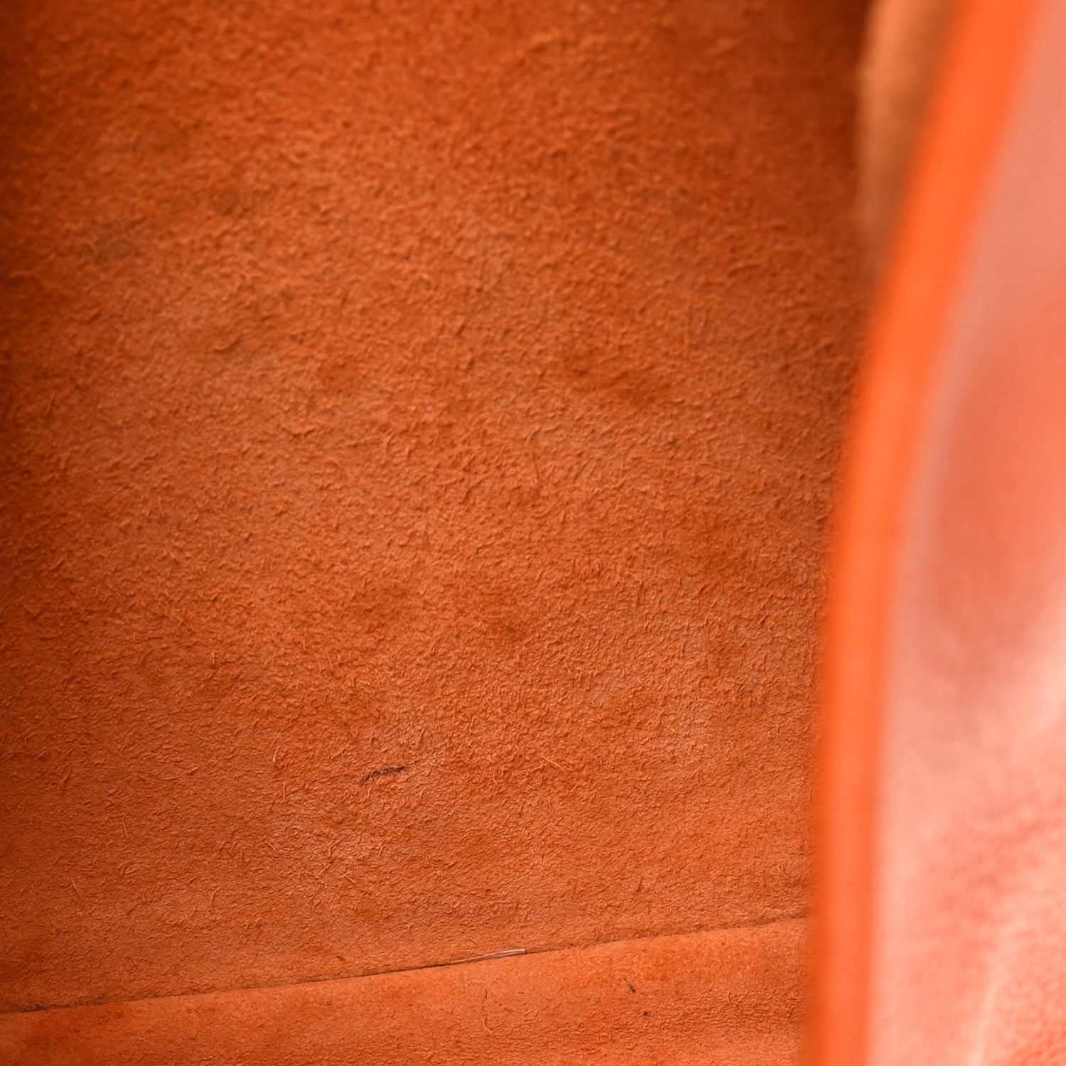 Taurillon Clemence Evelyne III GM Orange