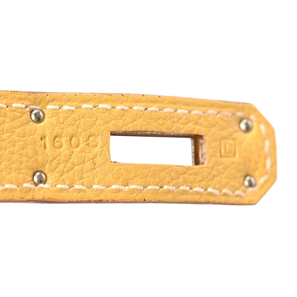 Togo BIRKIN 30 Curry