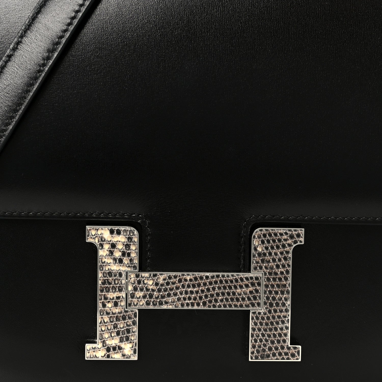 Box Lizard Constance 1-24 Black Ombre