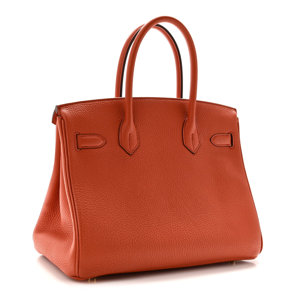 Togo Birkin 30 Terre Battue