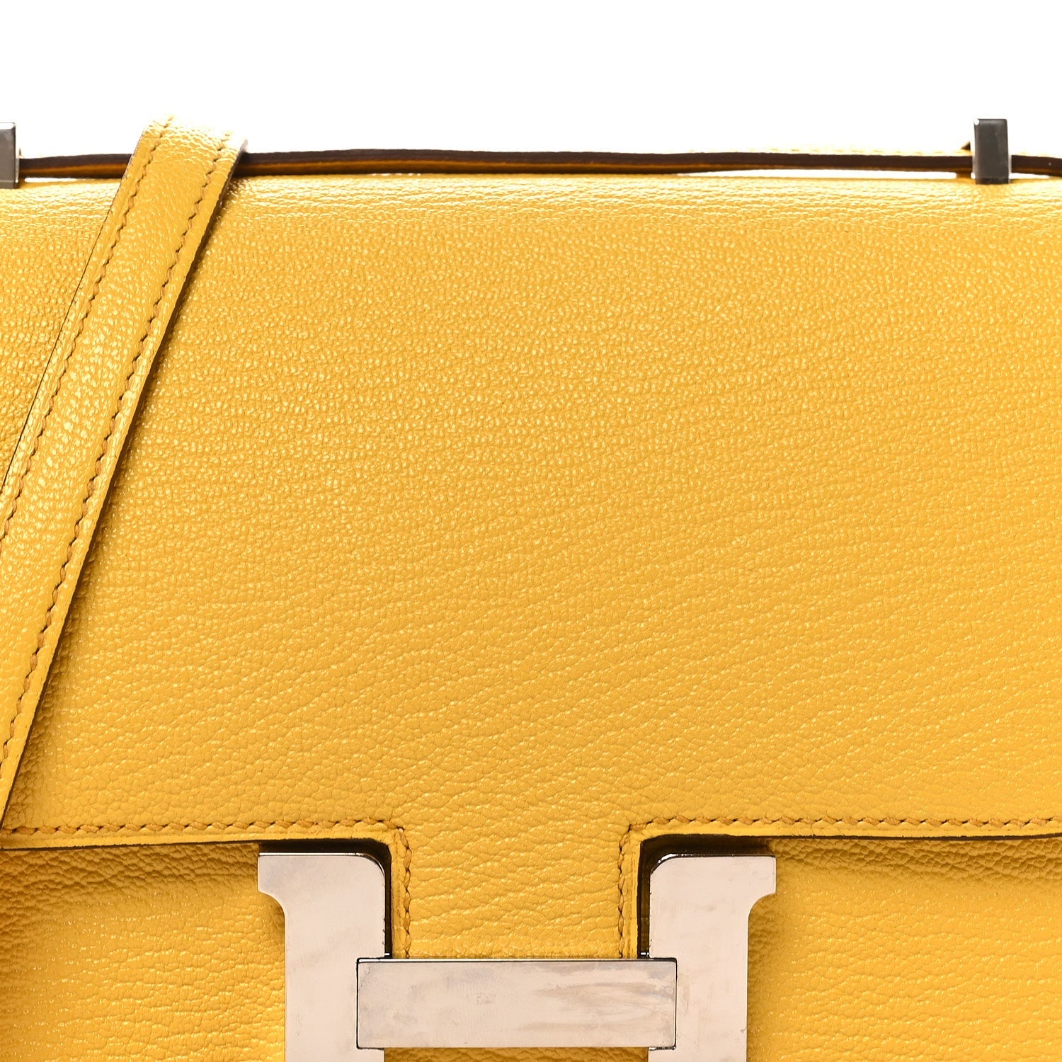 Chevre Mysore Constance 18 Jaune De Naples
