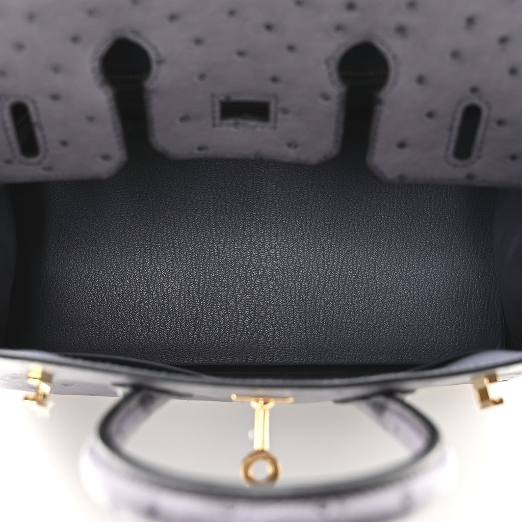 Ostrich Birkin 25 Gris Agate