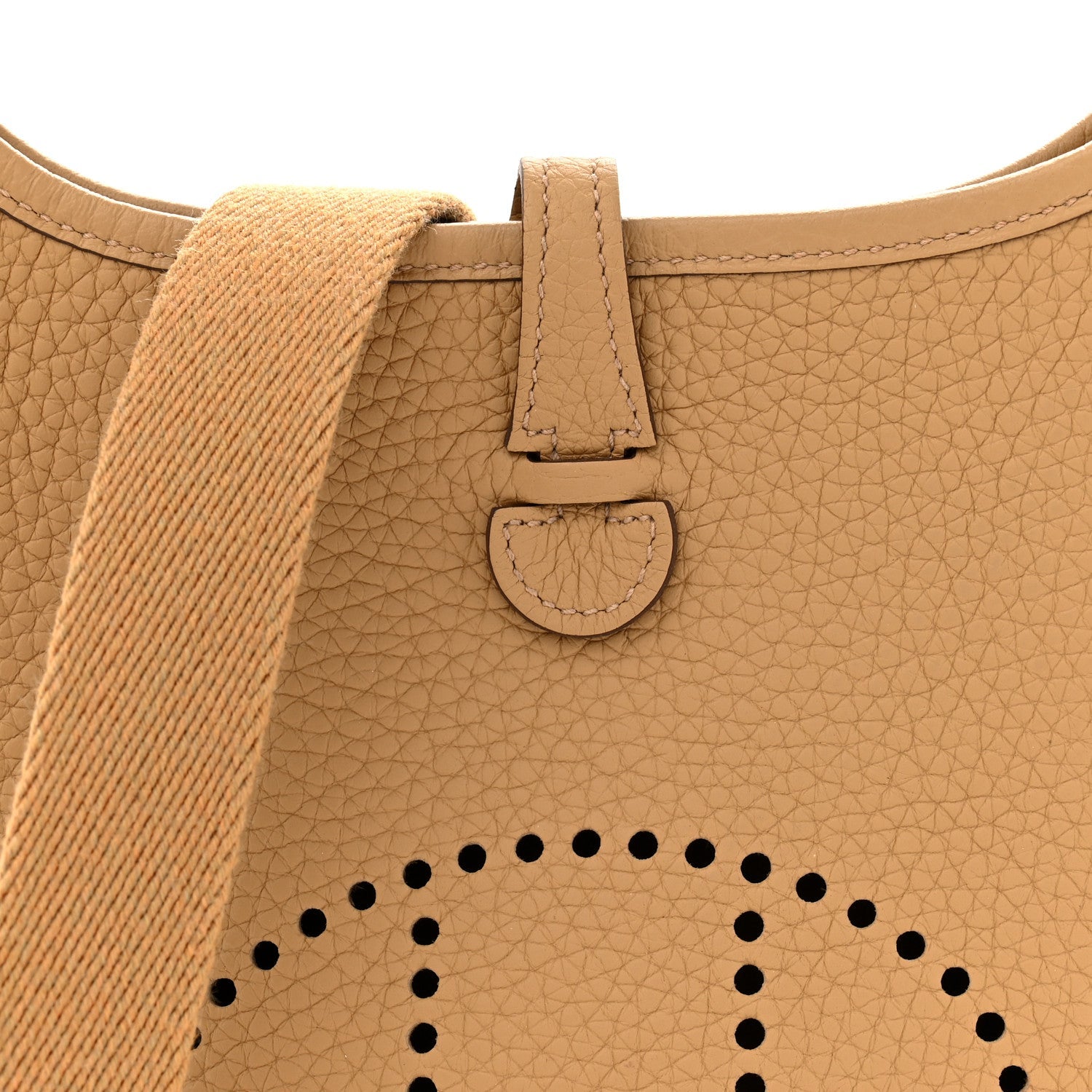 Taurillon Clemence Evelyne TPM Biscuit