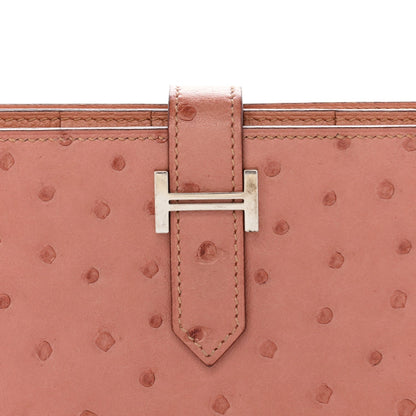 Ostrich Bearn Gusset Wallet Terre Cuite