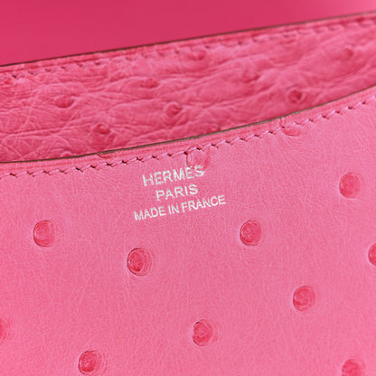 Ostrich Constance 18 Rose Tyrien
