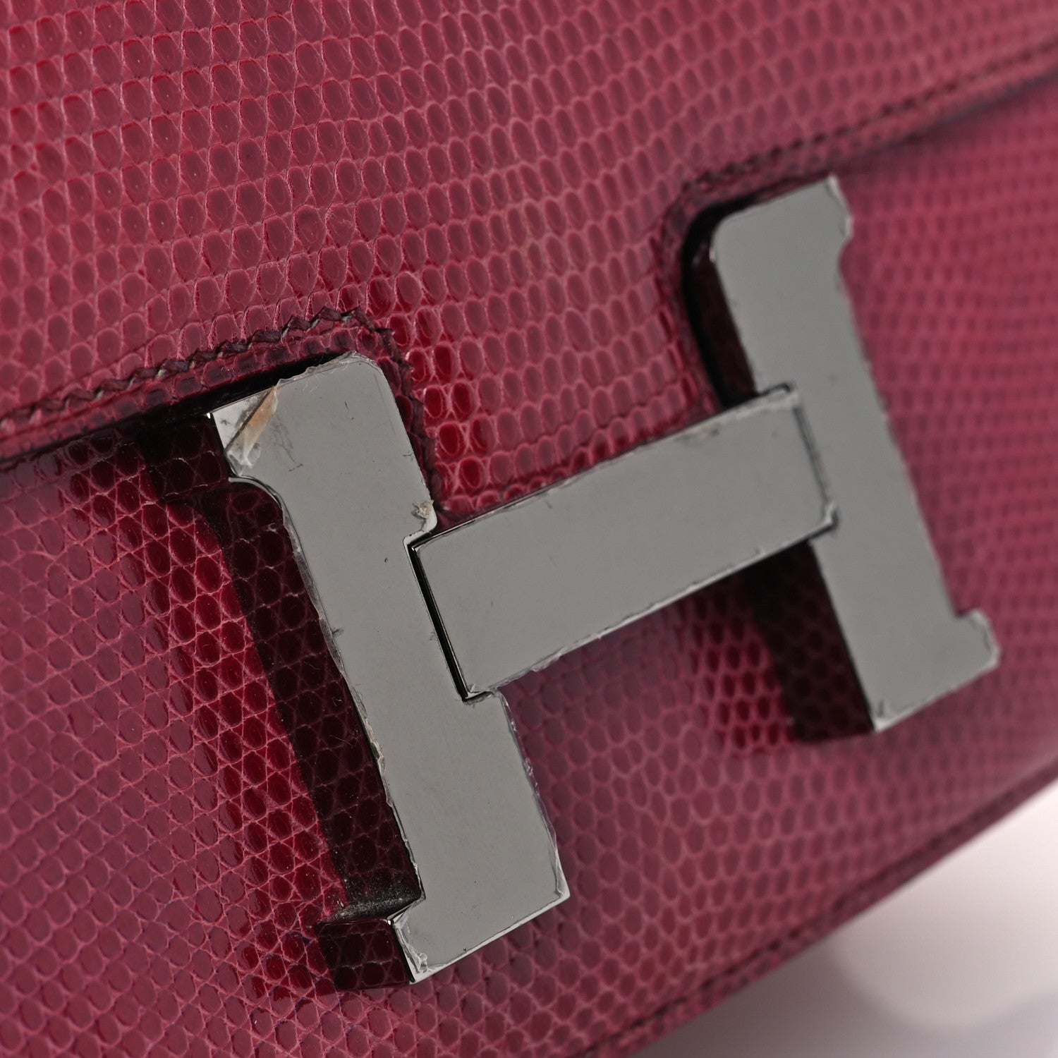 Lizard Constance 18 Fuchsia