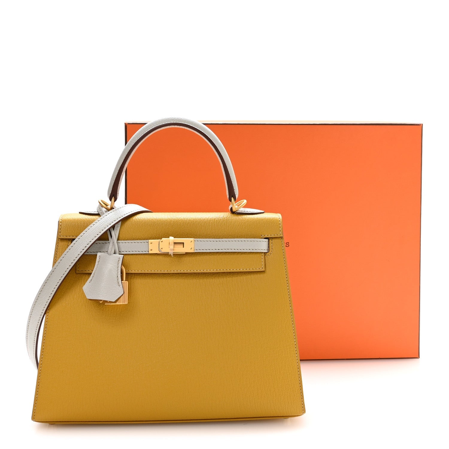 Chevre Mysore Horseshoe Kelly Sellier 25 Jaune Ambre Bleu Glacier
