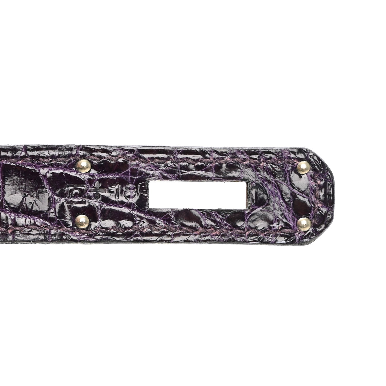 Shiny Niloticus Crocodile Birkin 30 Amethyst