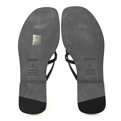 Calfskin Miss Sandals 37 Black