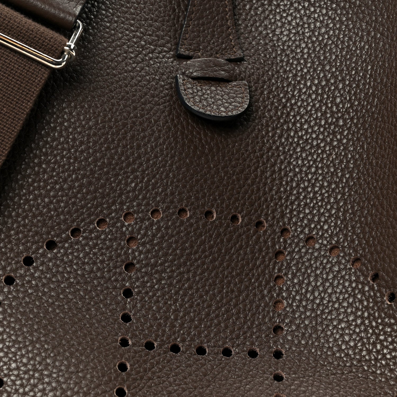 Taurillon Clemence Evelyne IlI PM Chocolate