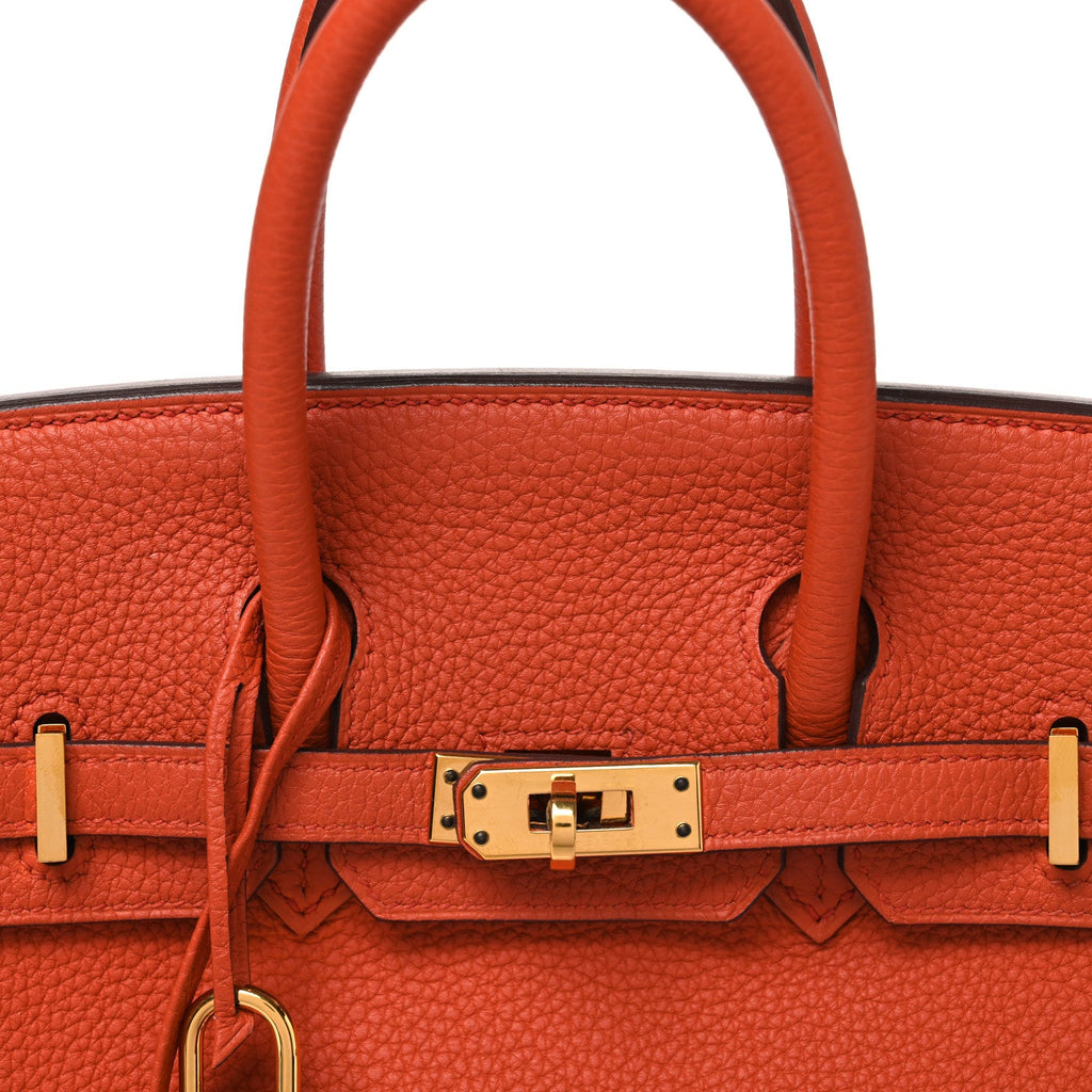Togo Birkin 25 Terre Battue