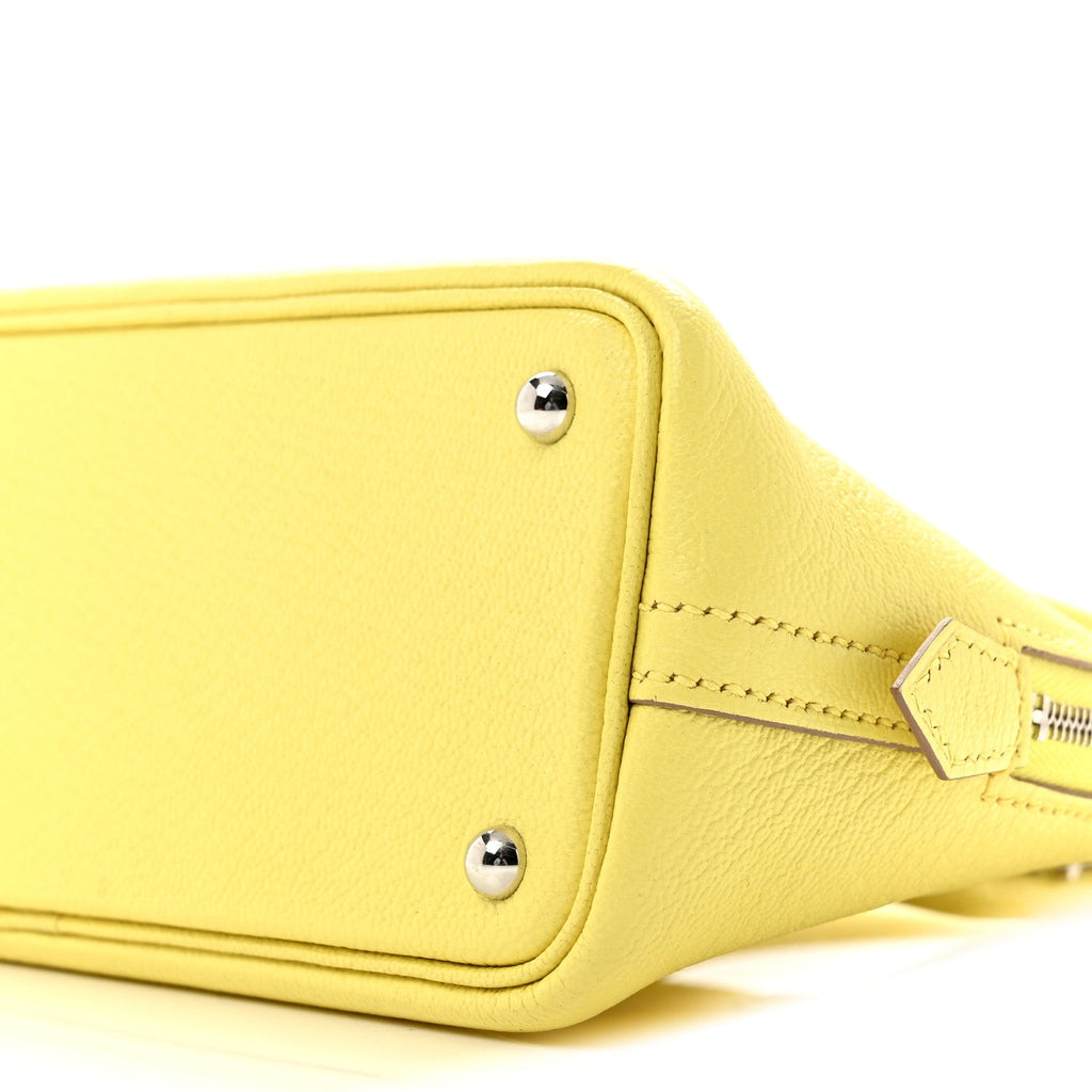 Chevre Mysore Mini 1923 Bolide Jaune Bourgeon