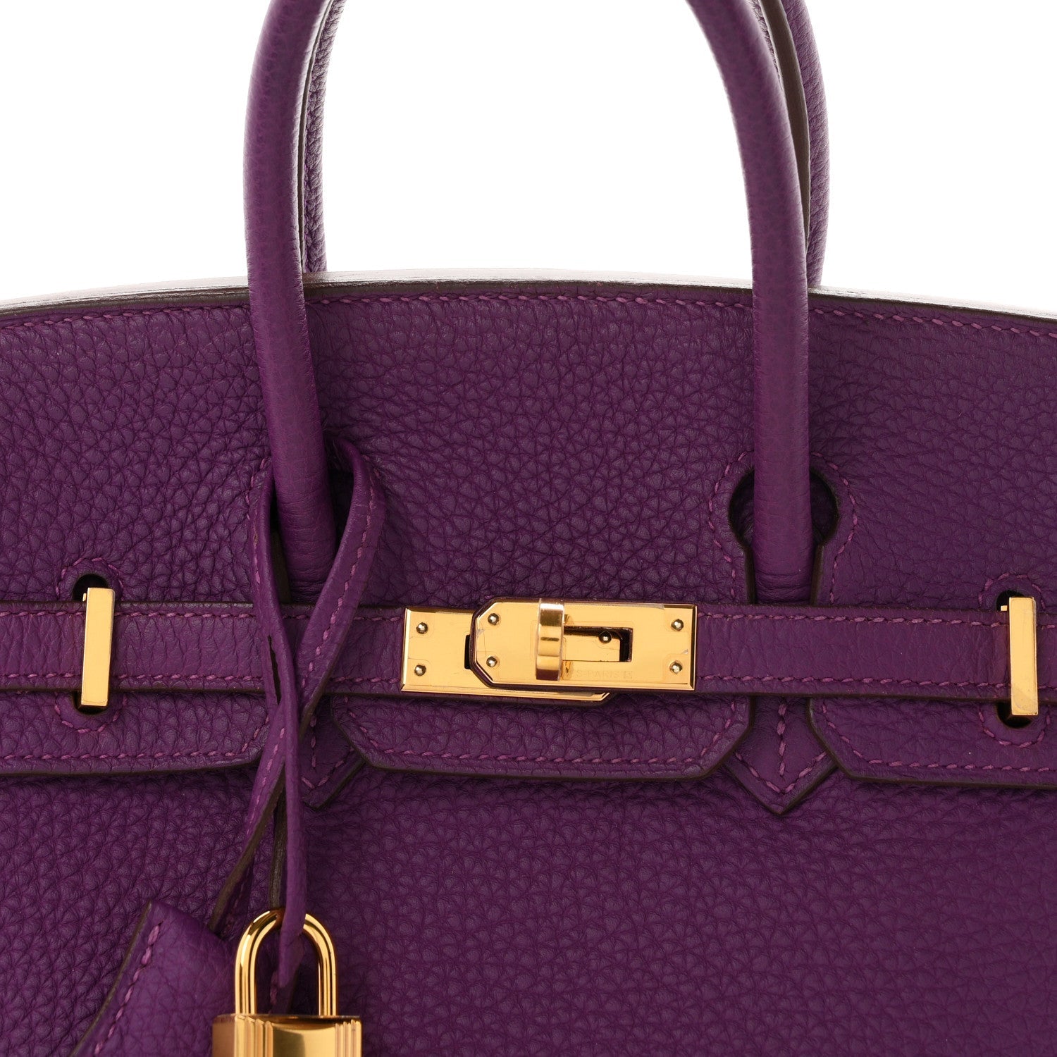 Togo Birkin 25 Anemone