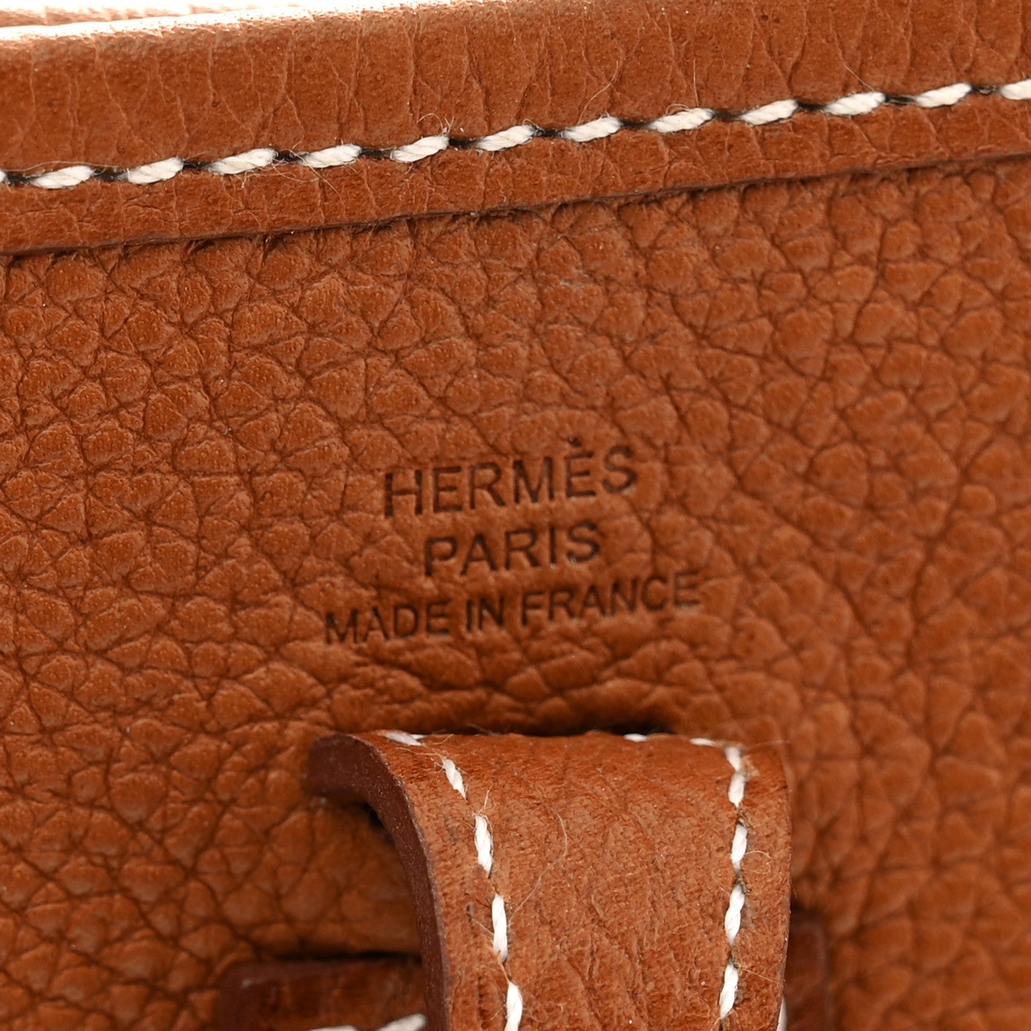 Taurillon Maurice Evelyne TPM Gold