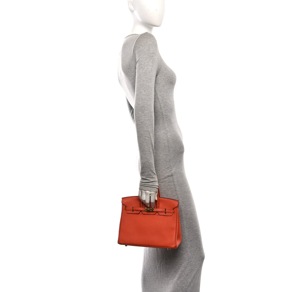 Togo Birkin 25 Terre Battue