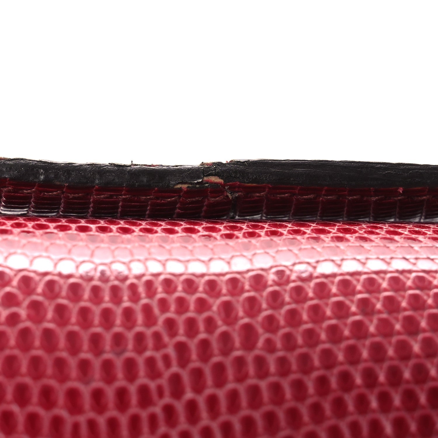 Lizard Constance 18 Fuchsia