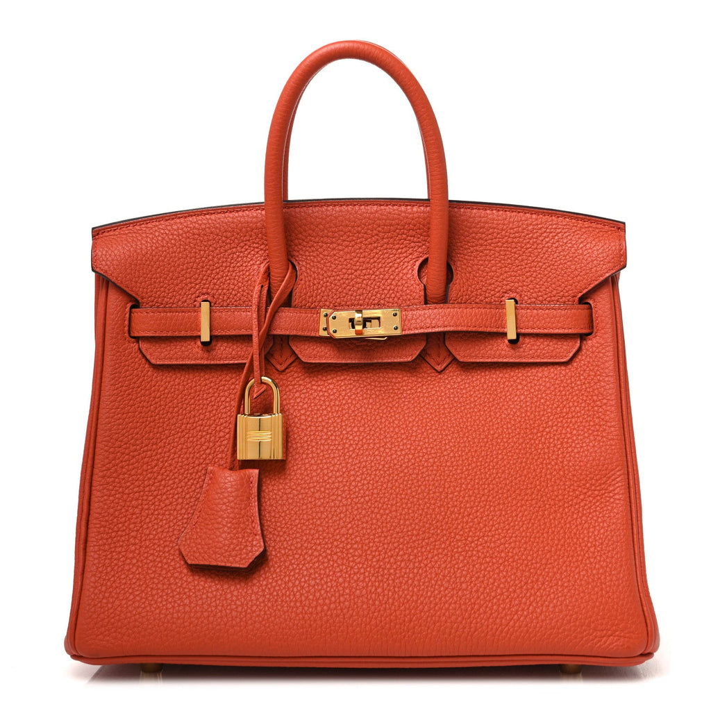 Togo Birkin 25 Terre Battue