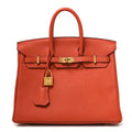 Togo Birkin 25 Terre Battue
