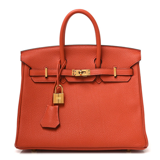 Togo Birkin 25 Terre Battue
