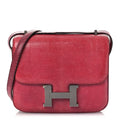 Lizard Constance 18 Fuchsia