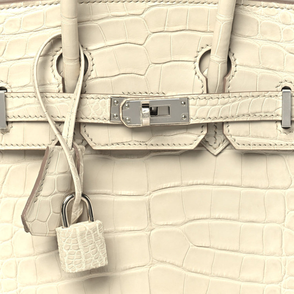 Matte Alligator Birkin 25 Beton