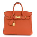 Togo Birkin 25 Terre Battue