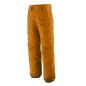 Patagonia Storm Shift Pants - Men's