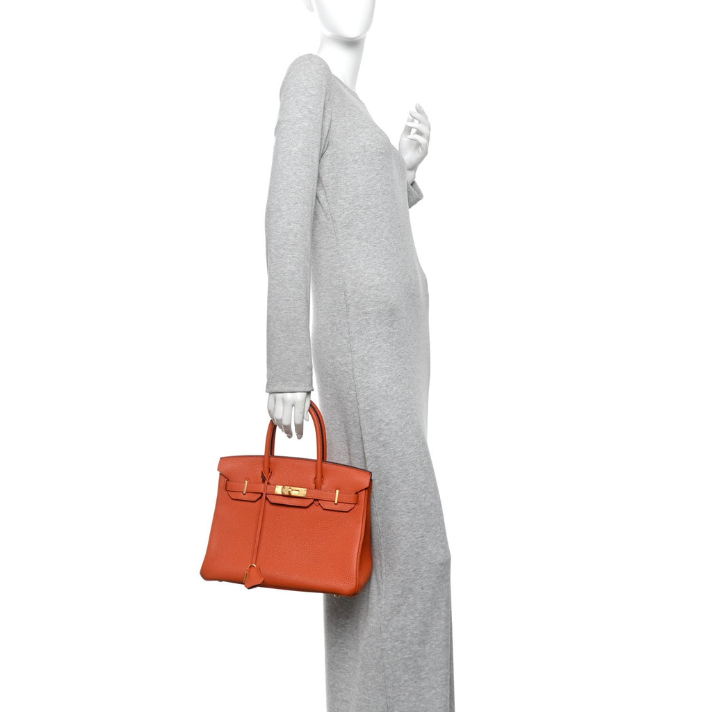 Togo Birkin 30 Terre Battue