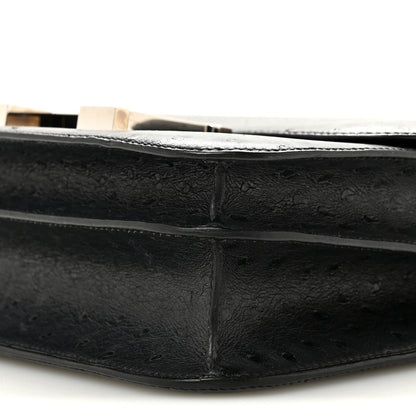 Ostrich Constance 24 Bleu Iris