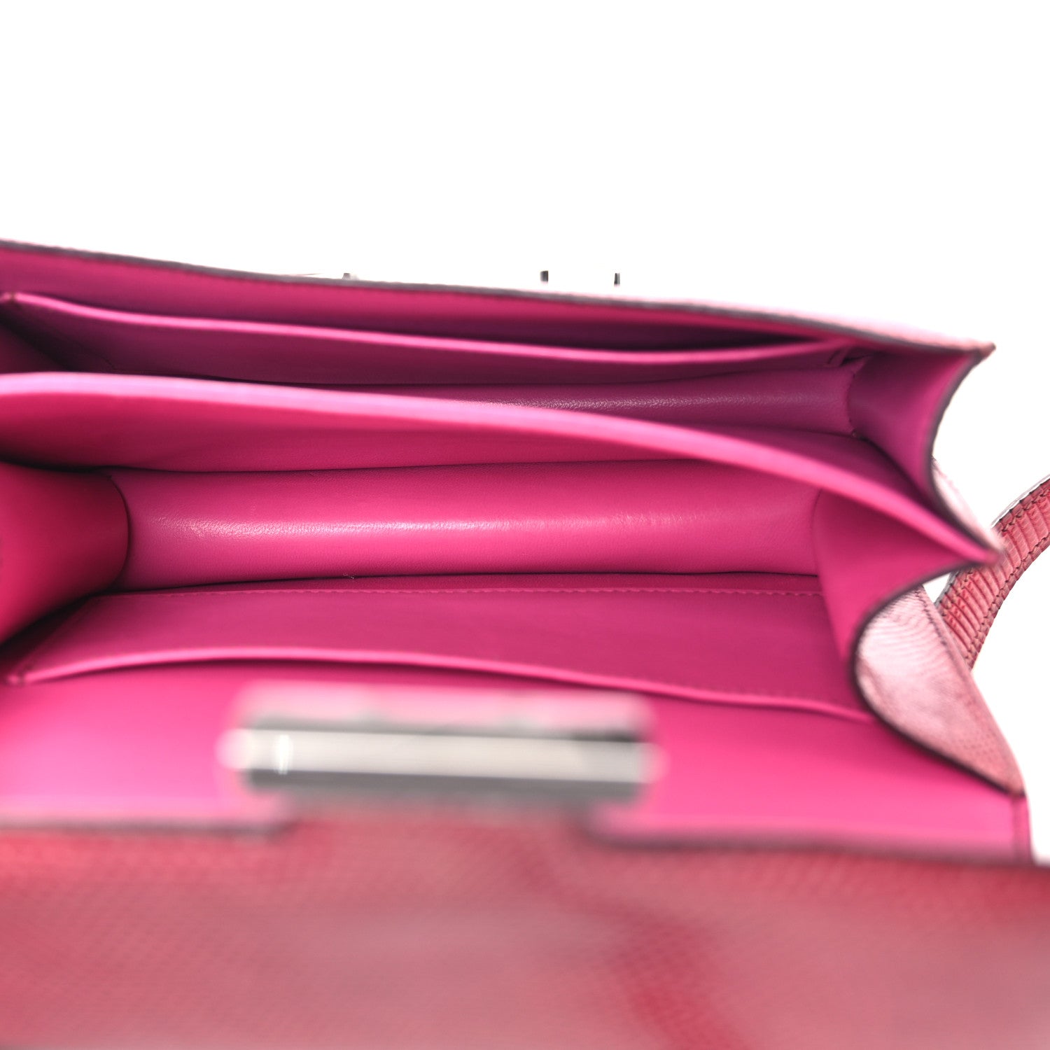 Lizard Constance 18 Fuchsia