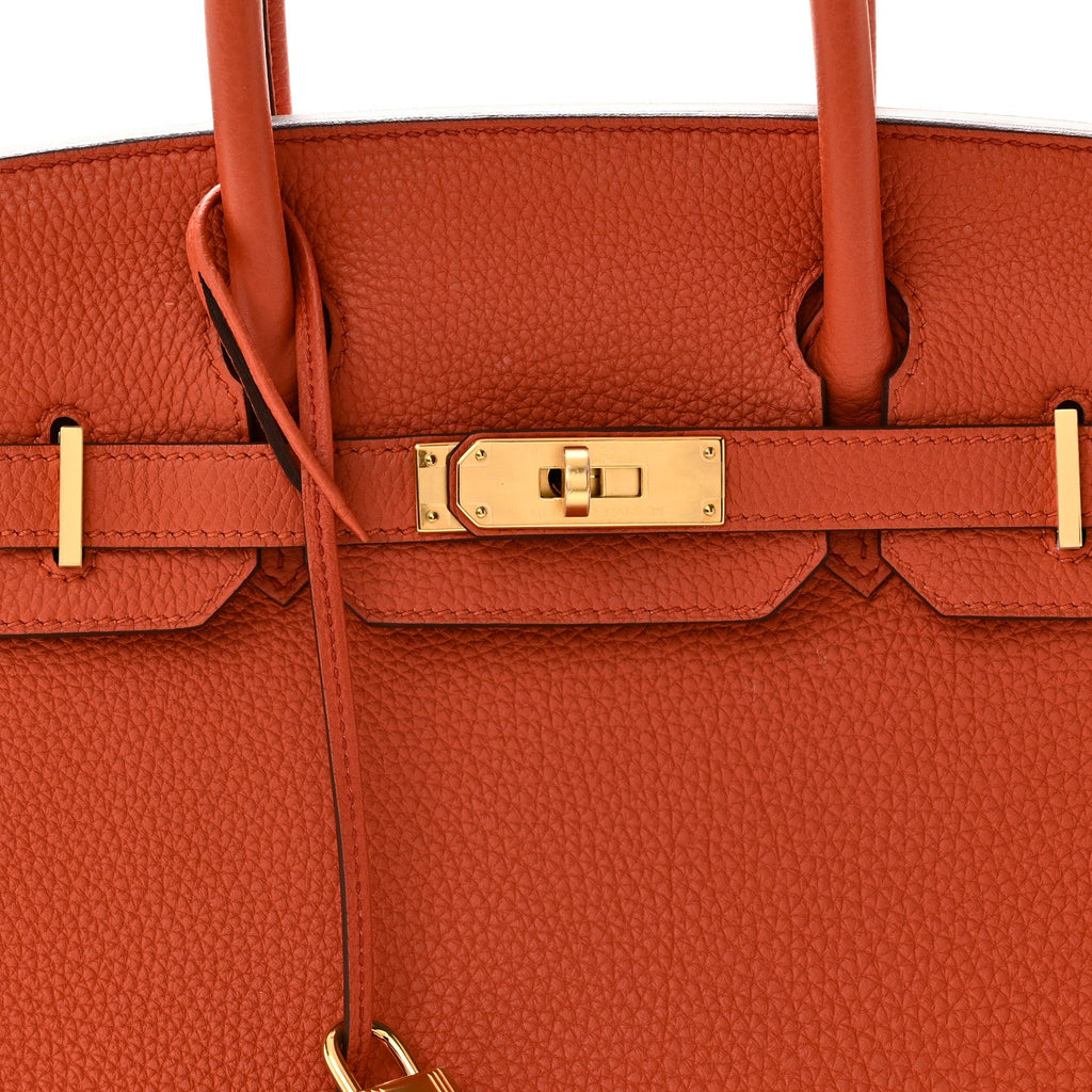 Togo Birkin 30 Terre Battue